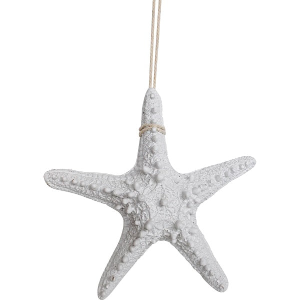 
            
                Load image into Gallery viewer, White Starfish Medium
            
        